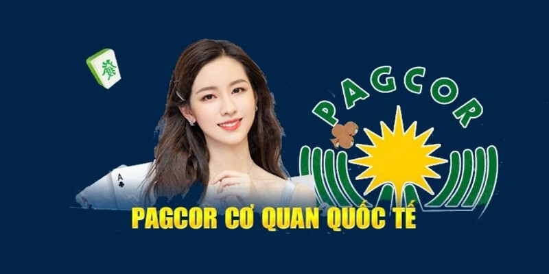 Nhà cái có đầy đủ giấy phép kinh doanh đúng quy định