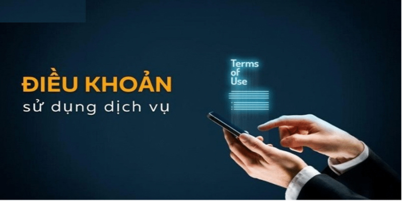 Tuân thủ điều khoản khi chơi cá cược tại New888