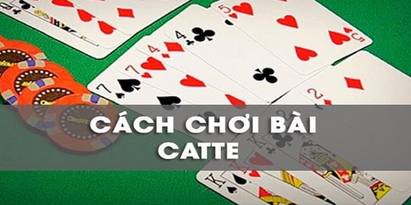 Hướng dẫn chơi bài Catte cơ bản