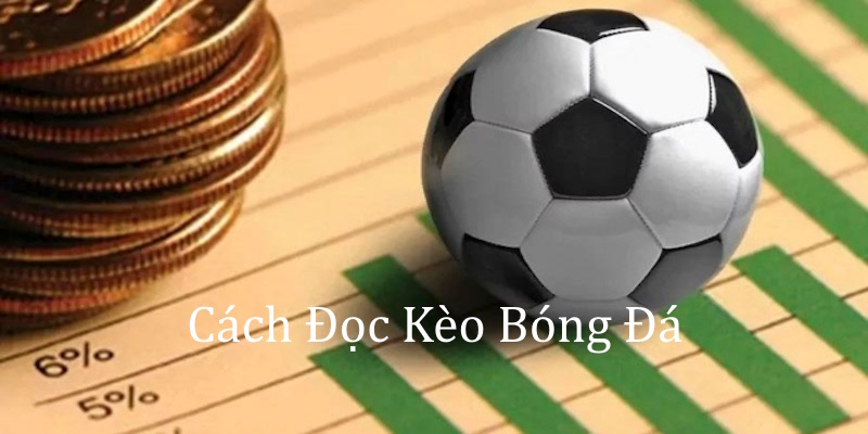 Cách đọc kèo bóng đá