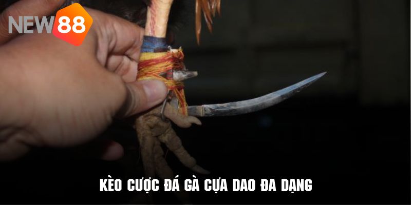 Chọi gà cựa dao có vô số kèo cược để khách hàng thỏa mãn đam mê