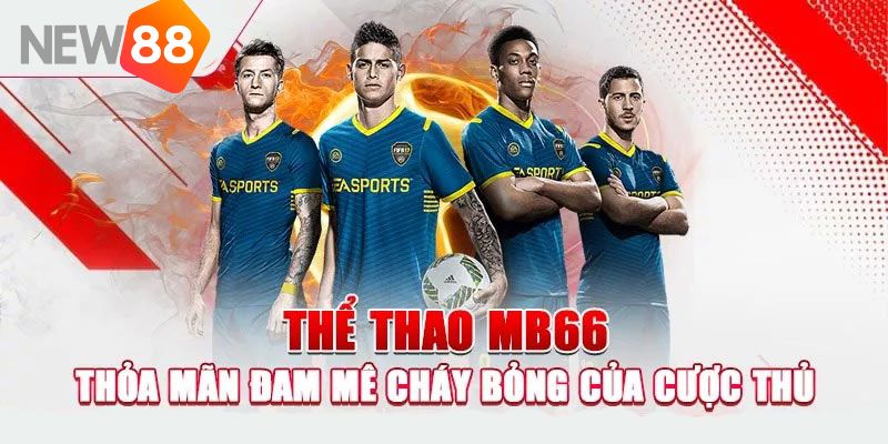 Trải nghiệm danh mục game thể thao cực hấp dẫn